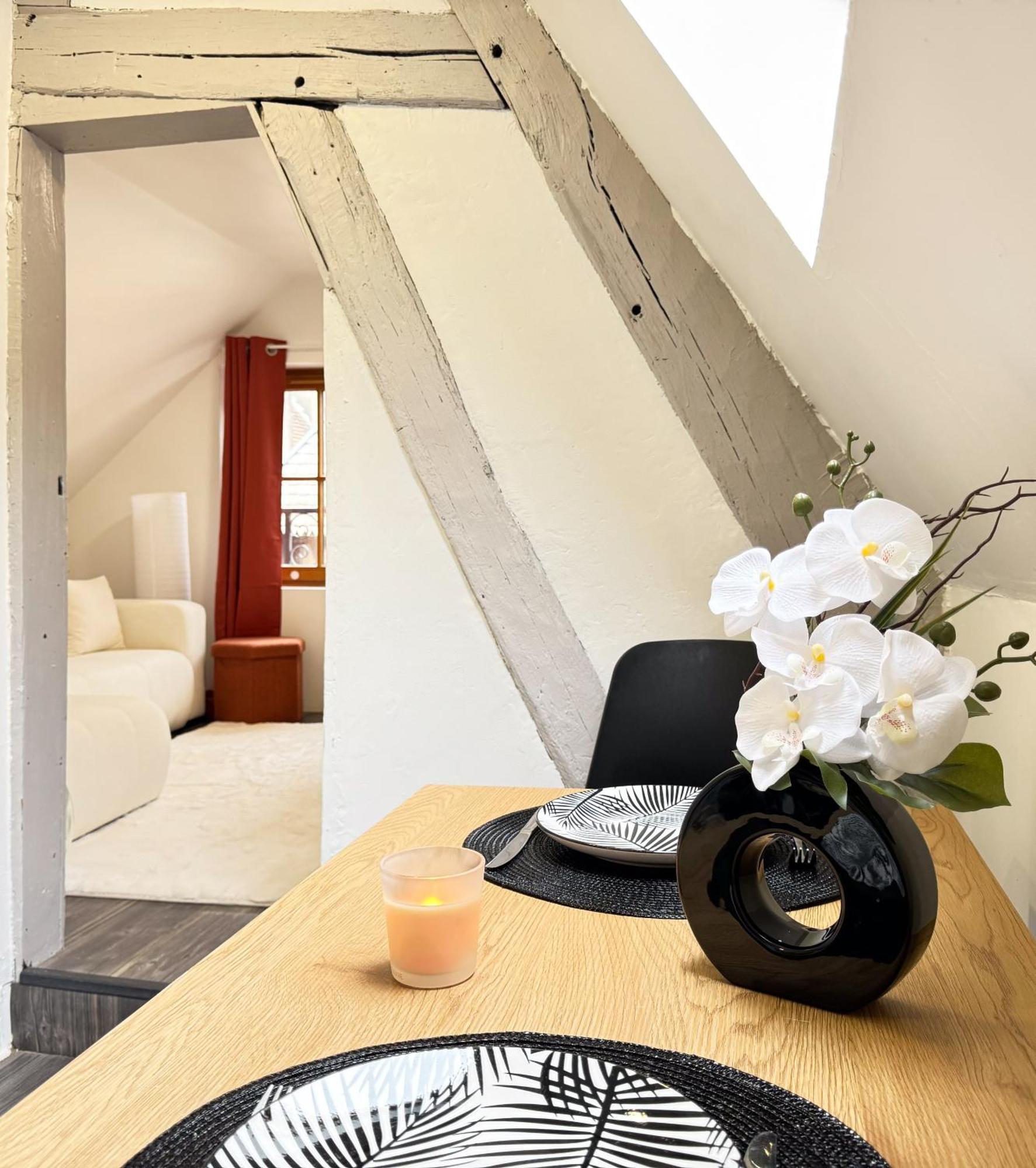 La Douceur - Hypercentre Pieton De Troyes - Cozy Daire Dış mekan fotoğraf